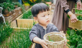 带91岁姥姥直播,传承智慧与欢乐