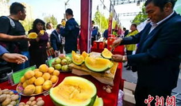 澧县吃瓜最新事件爆料