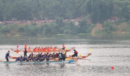 赛龙舟视频,共赴竞渡情